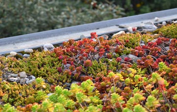 the cost of Standen Hall green roof installation
