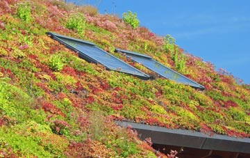 Standen Hall living roof systems