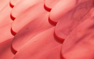 Standen Hall plastic roof costs