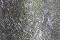 Standen Hall fibreglass roof work